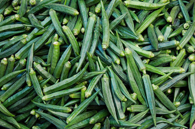 Okra